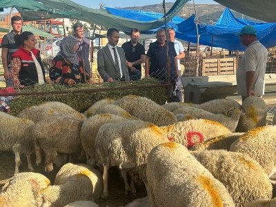 Vali Aktaş, Canlı Hayvan Pazarı ve Cuma Pazarını Ziyaret Etti